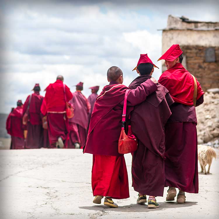 赤い法衣を身に着けたチベットの若い僧侶達