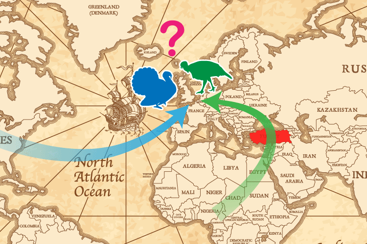 世界地図にアフリカからトルコ経由で持ち込まれたホロホロ鳥と北米から輸入されたターキーの移動を示した図
